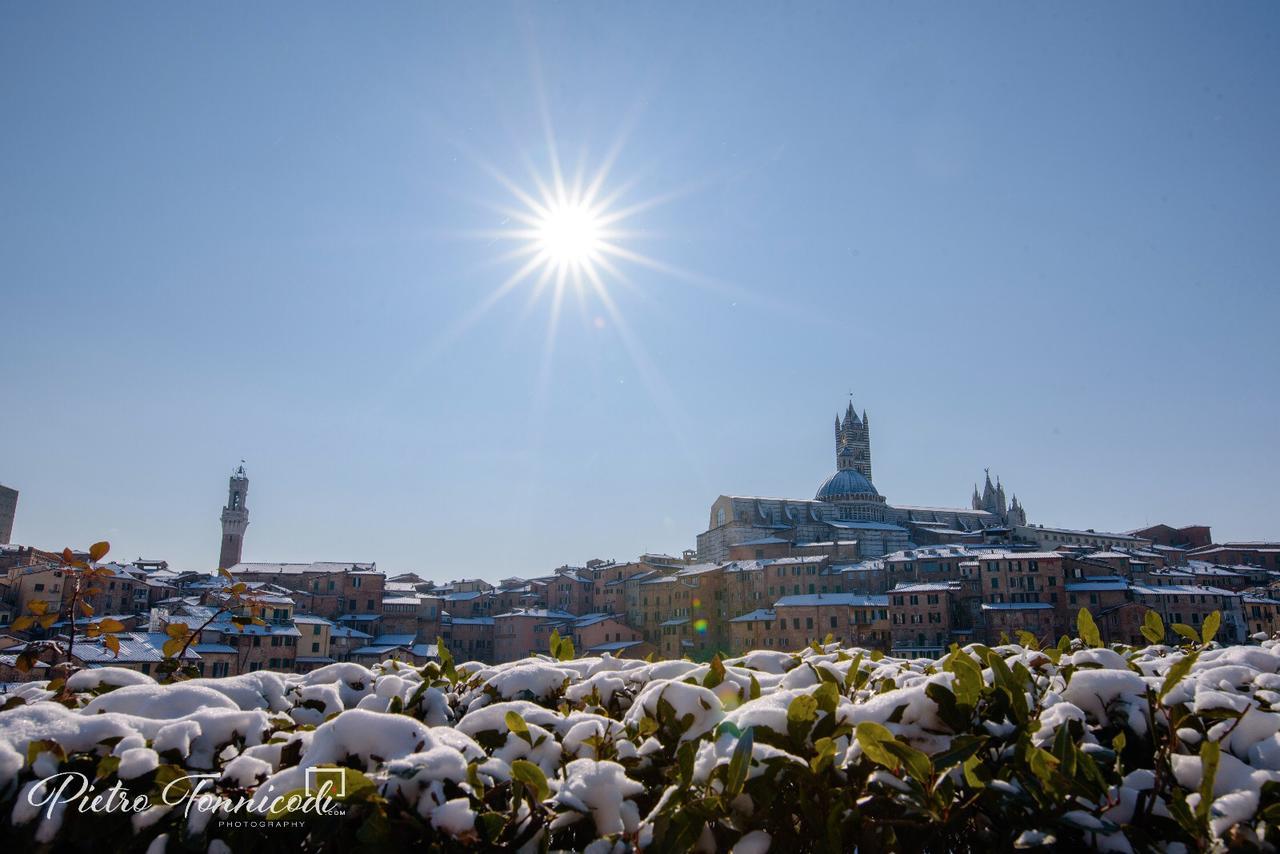 B&B Le Lupe Siena Zewnętrze zdjęcie